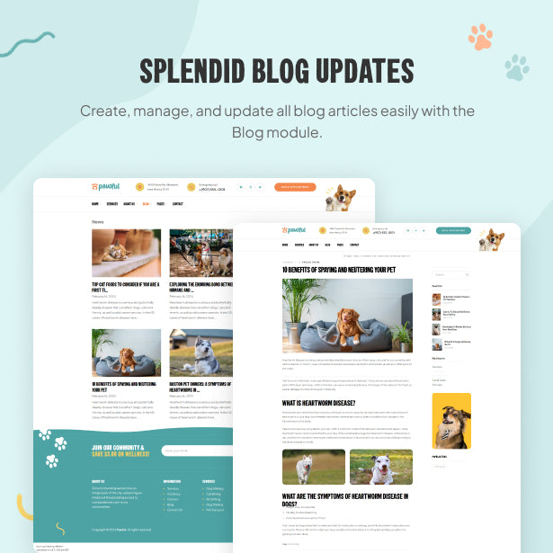 Splendid blog updates