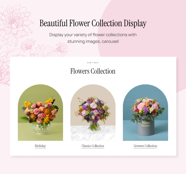 Beautiful Flower Collection Display 