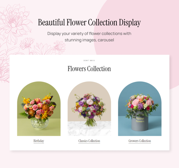 Beautiful Flower Collection Display