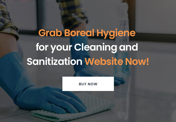 Grab Boreal Hygiene for your Cleaning and Sanitization Website Now!