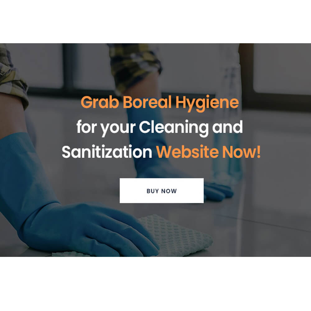 Grab Boreal Hygiene for your Cleaning and Sanitization Website Now!