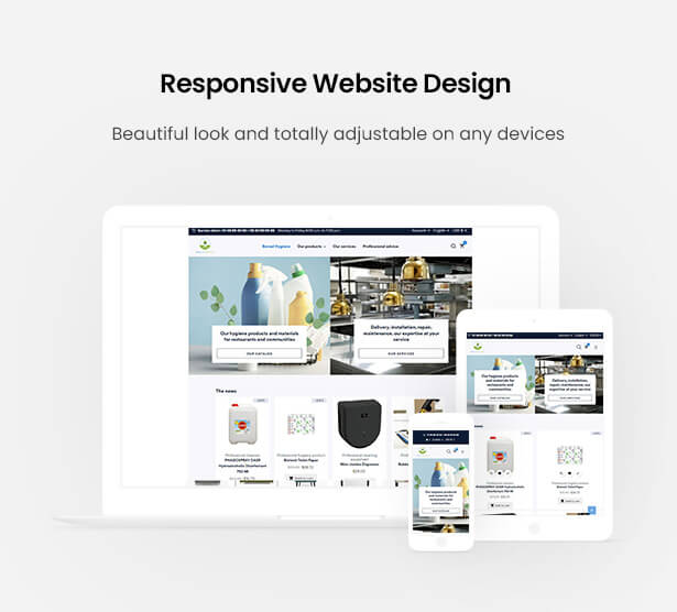 Responsive Website Design