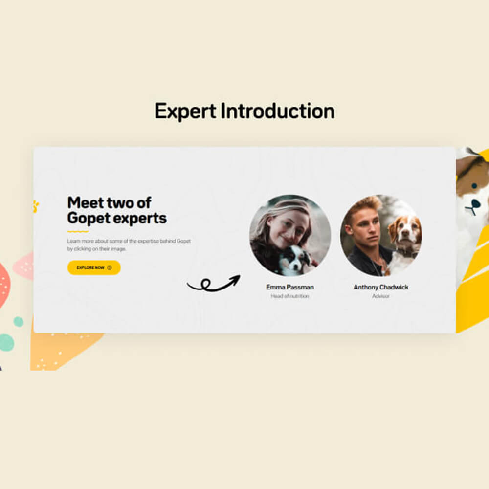Expert introduction