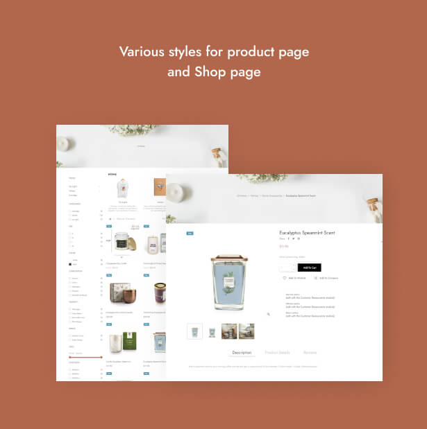 Various styles for product page and Shop page