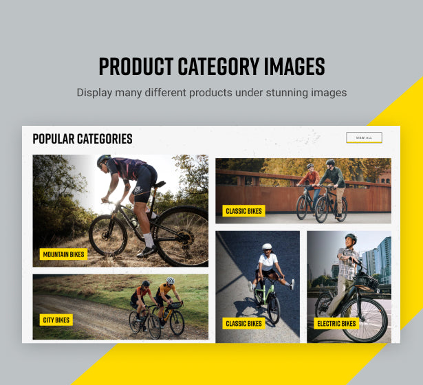 Stunning product category images 
