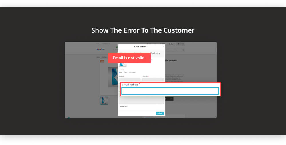 Show the error to the customer