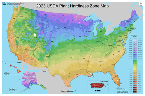 2023 USDA plant hardiness zone map.