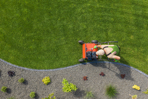 Dethatching and aerating your lawn.