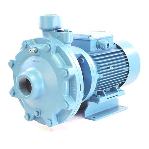 Calpeda Electric Pump Motor Water Spin Speed Nmm 1/AE 0.50 HP Single Phase:  Buy Online at Best Price in Egypt - Souq is now