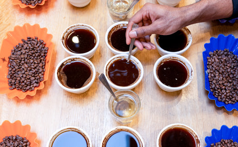 Coffee cupping 