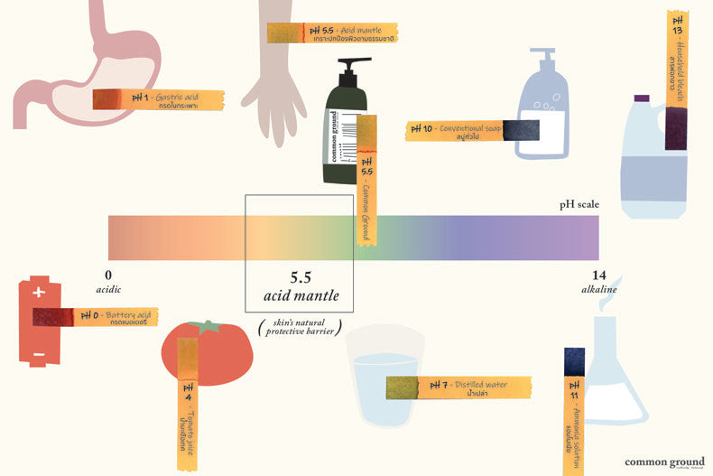 pH Scale