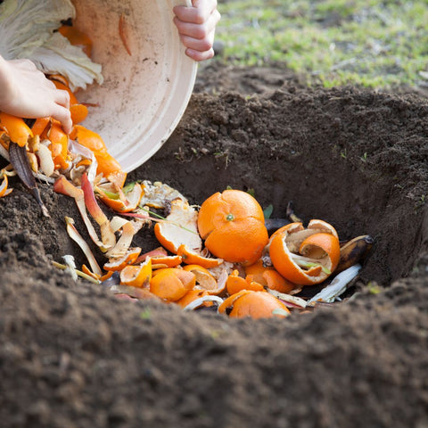 6 Compost Accelerators to Fire up Your Pile