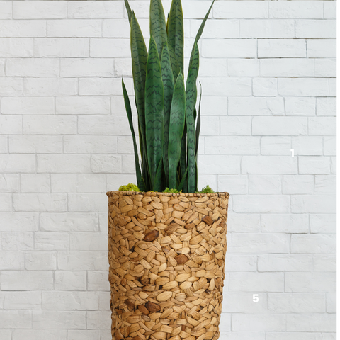 Stylish Planters