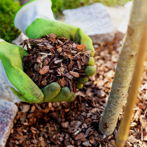 Mulch