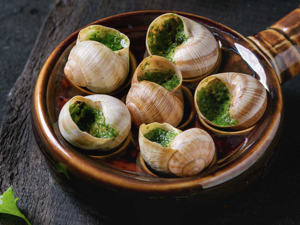 Edible Land Snails Or Escargot Are A Delicacy