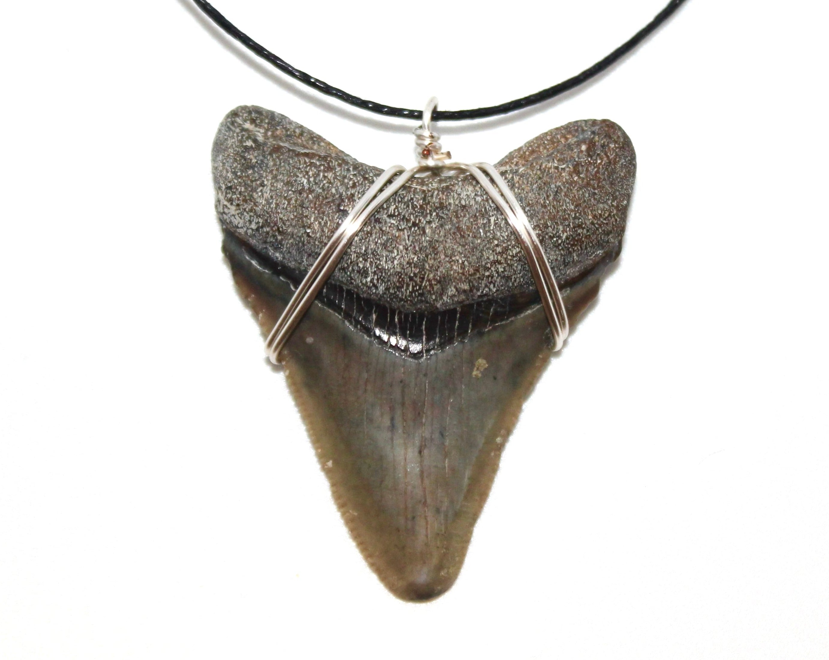 megalodon shark tooth necklace