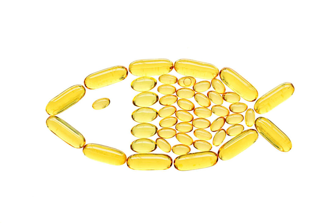 is fish oil for dogs the same as for humans