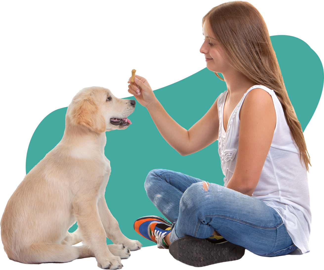 bacillus coagulans for dogs