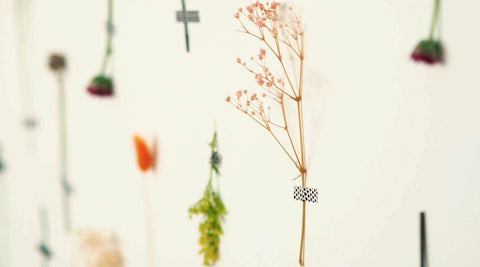 Trockenblumenwand selber machen DIY Blumenwand