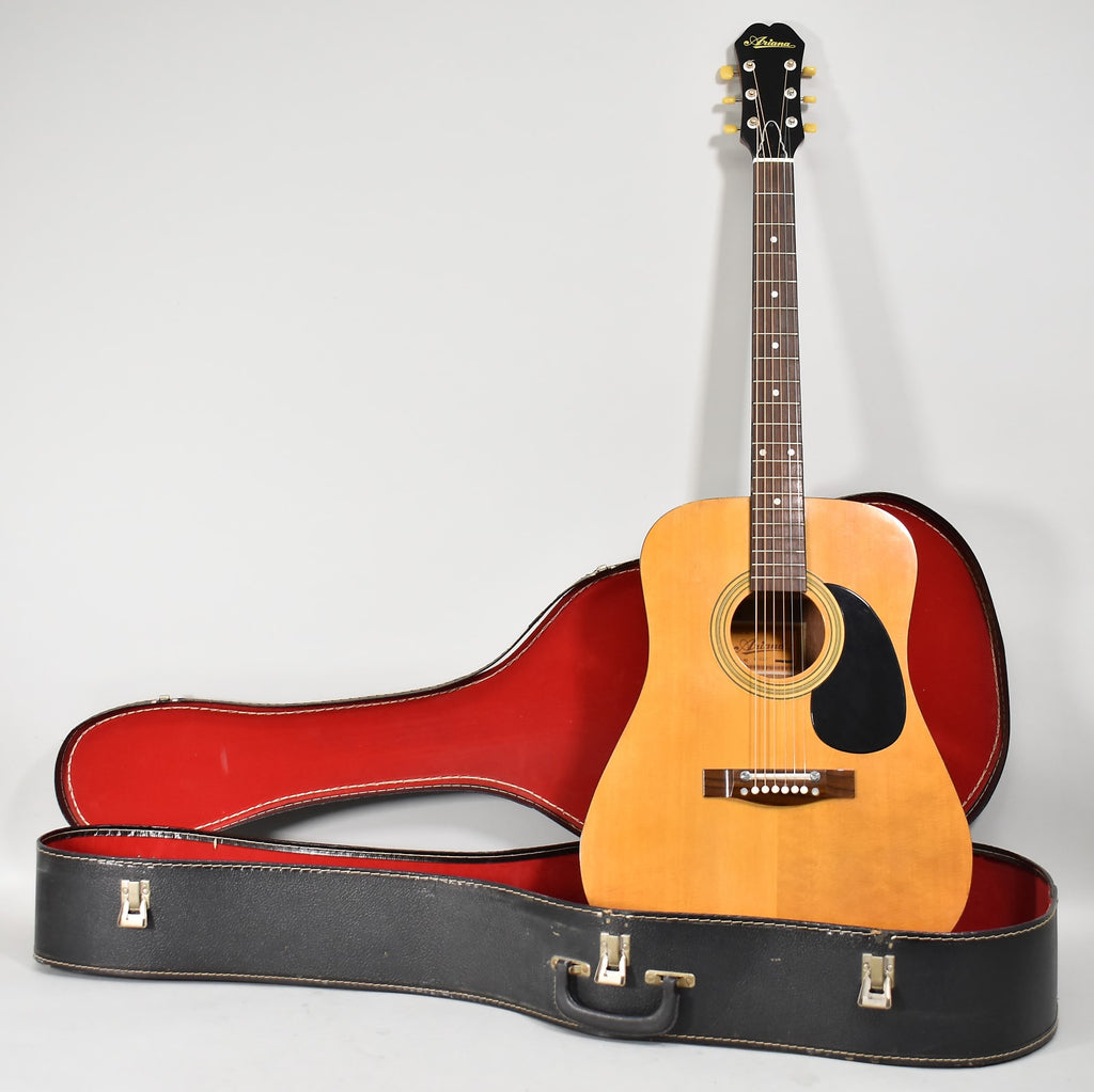 ariana acoustic guitar price