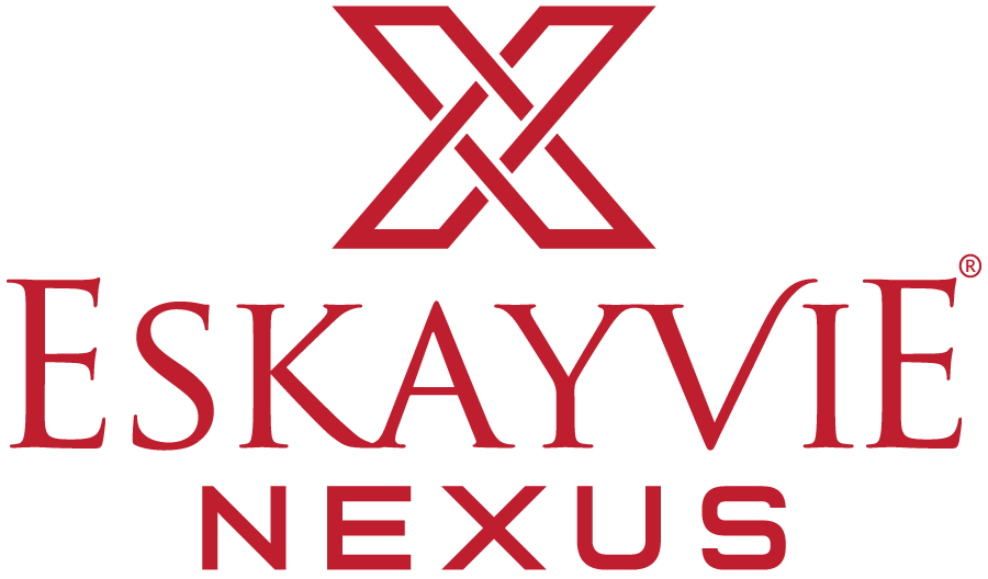 nexus logo image