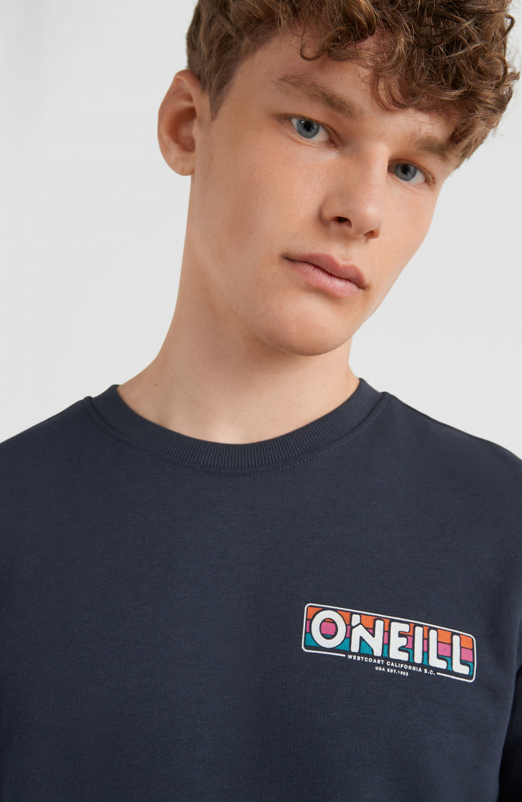 Men's sweatshirts and hoodies – O'NEILL