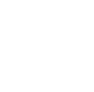 Fever Team Store Logo