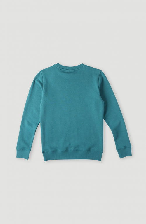 Cube Crew Sweatshirt | Directoire Blue – O\'Neill