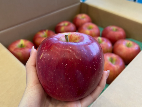 Japanese Sun Fuji Apples Selling for 60 Yuan Apiece in China