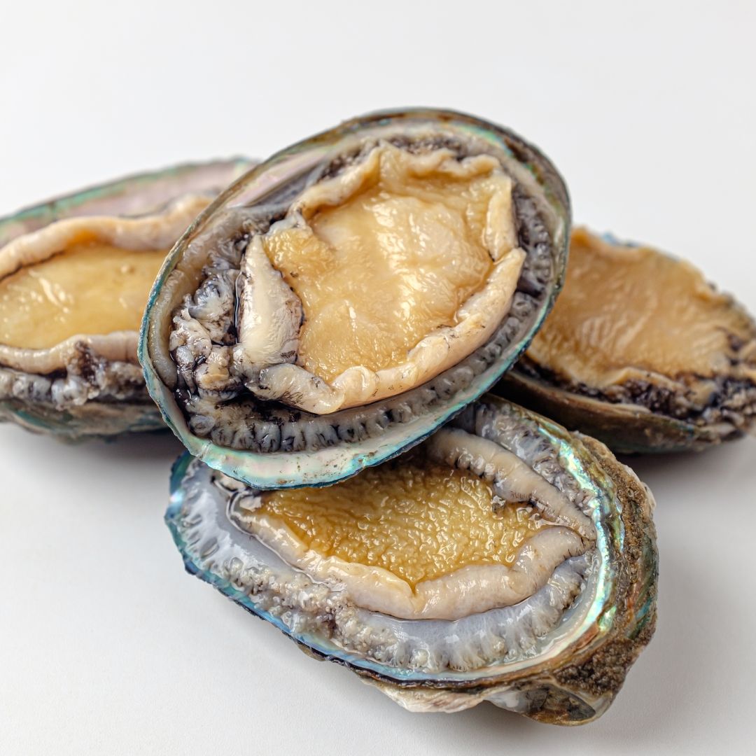 Sashimi Grade Steamed Abalone From Iwate Japan Frozen 100g J Passport Selection