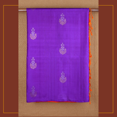 5 must-have sarees this festive season Soft Silk Cotton