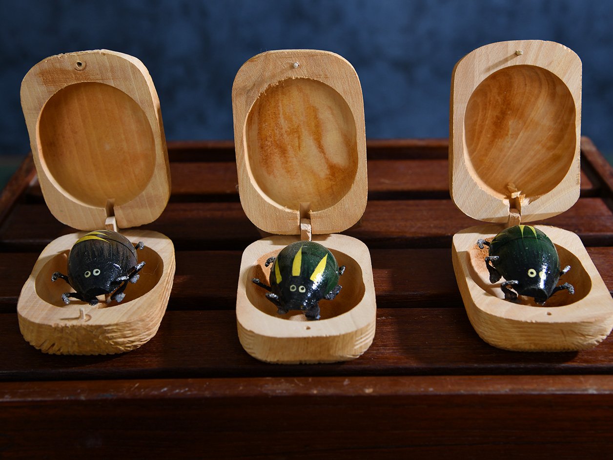  Wooden Box With Beetles 