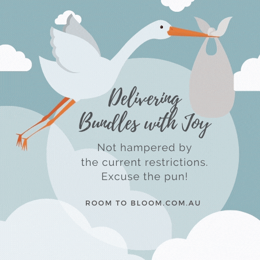 Room to Bloom Delivery Covid-19 Update