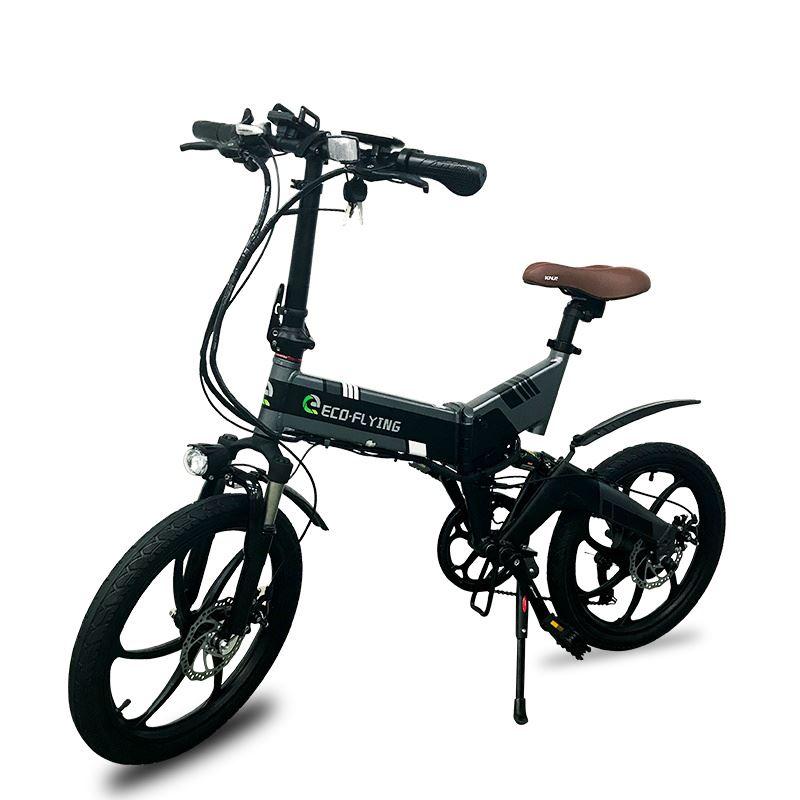 e bike eco