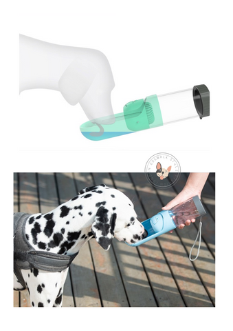 Portable and Collapsable Dog Water Bottle (4 colours)