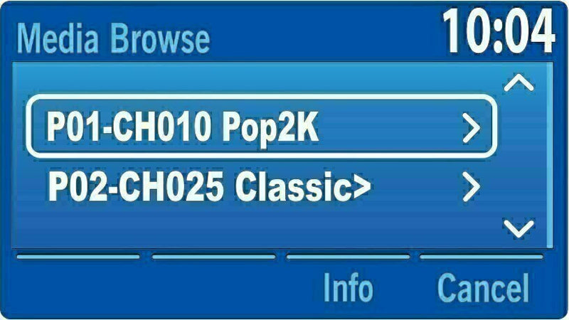 Store your favorite SiriusXM Satellite Radio channels with Ford Factory Radio Presets