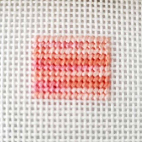 variegated needlepoint thread in Continental stitch