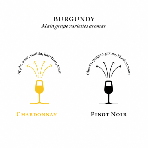 Burgundy main grape varieties