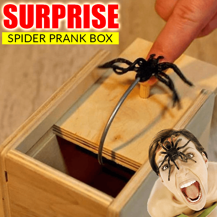 Surprise Spider Prank Box