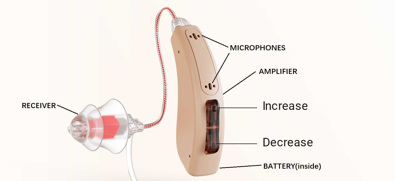 What's Inside Your Receiver-in-Canal Hearing Aids?