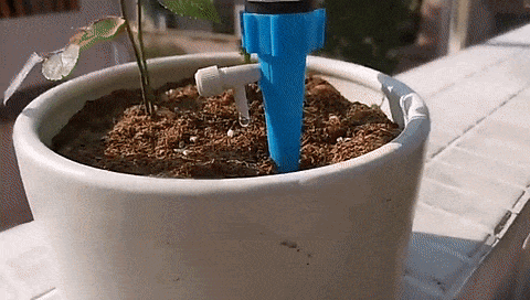 Irrigador automático para Plantas
