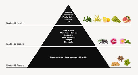 Piramide Olfattiva N75 Balique Uomo