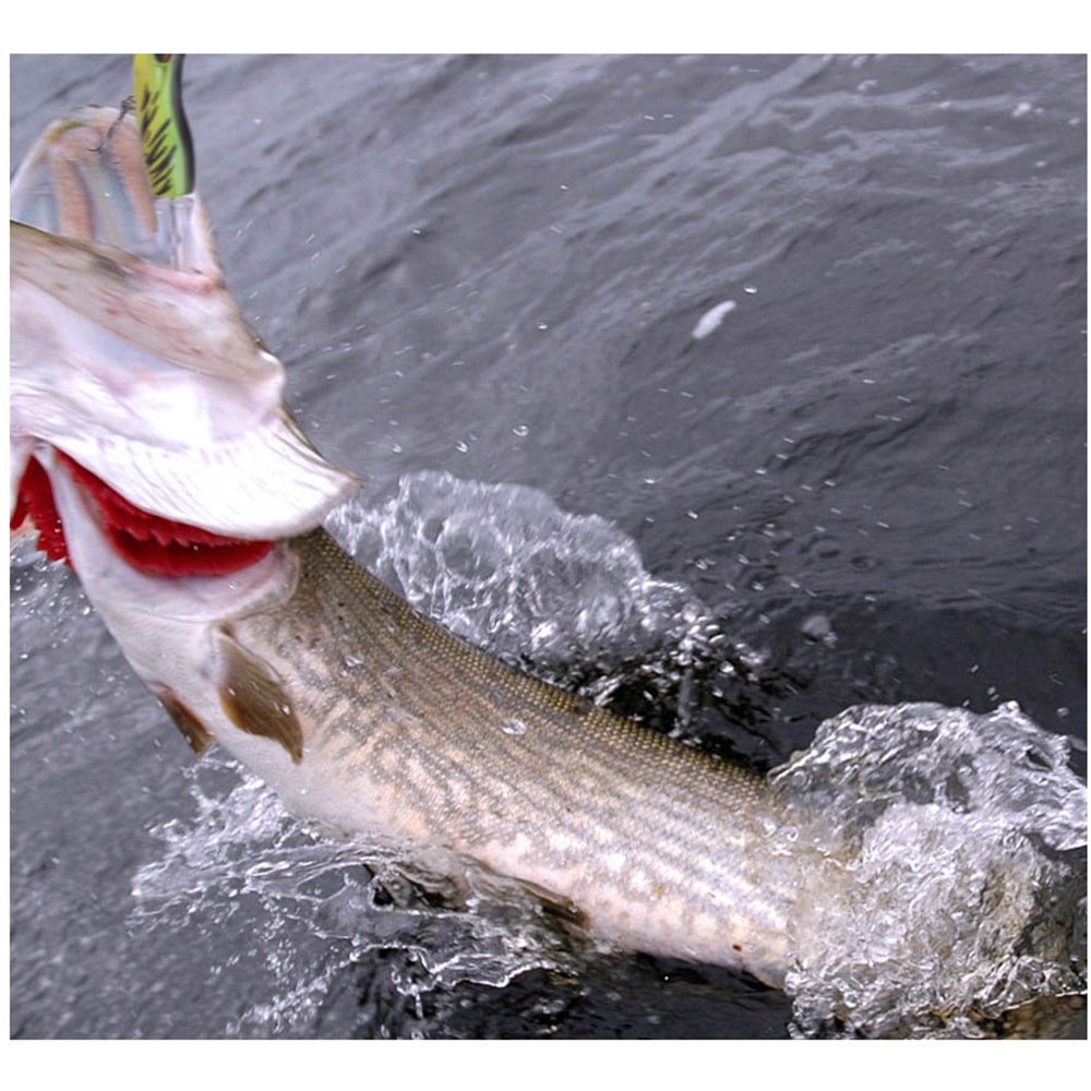 Propeller frog lure attacked by pike