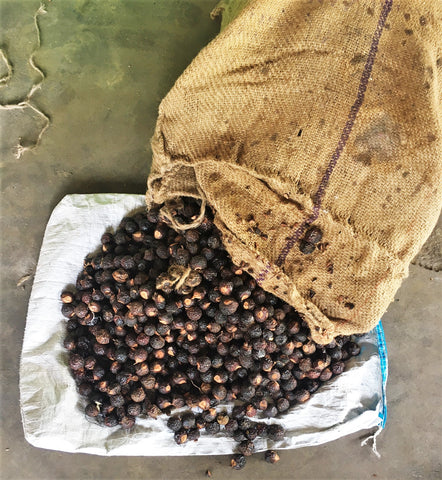 Soap nuts for natural wash of yoga rug