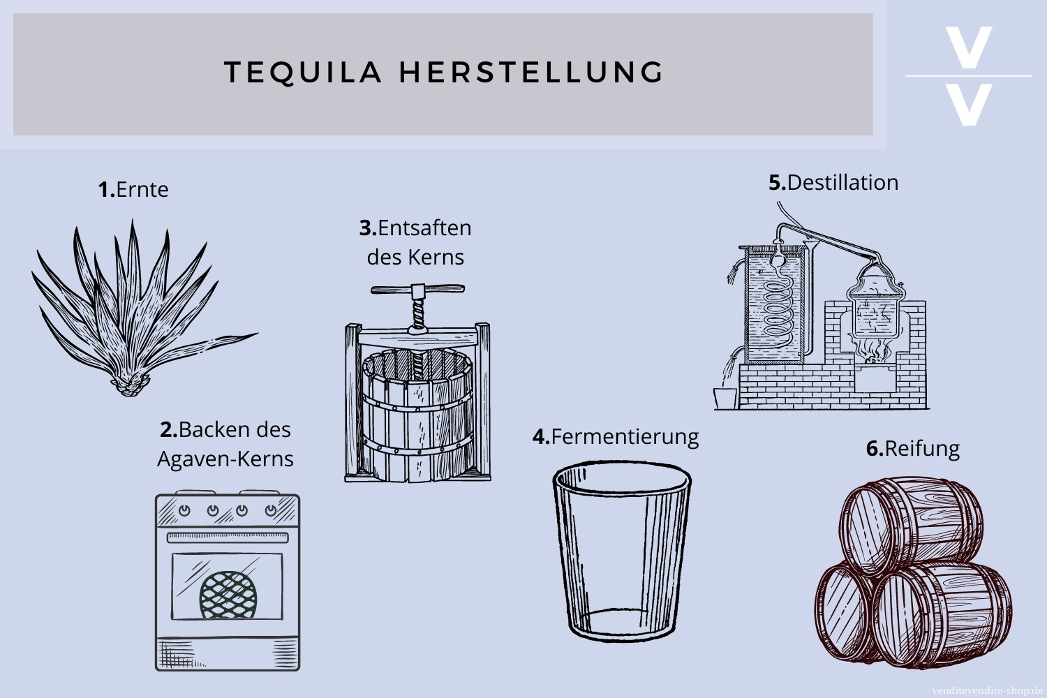 Tequila Herstellung 