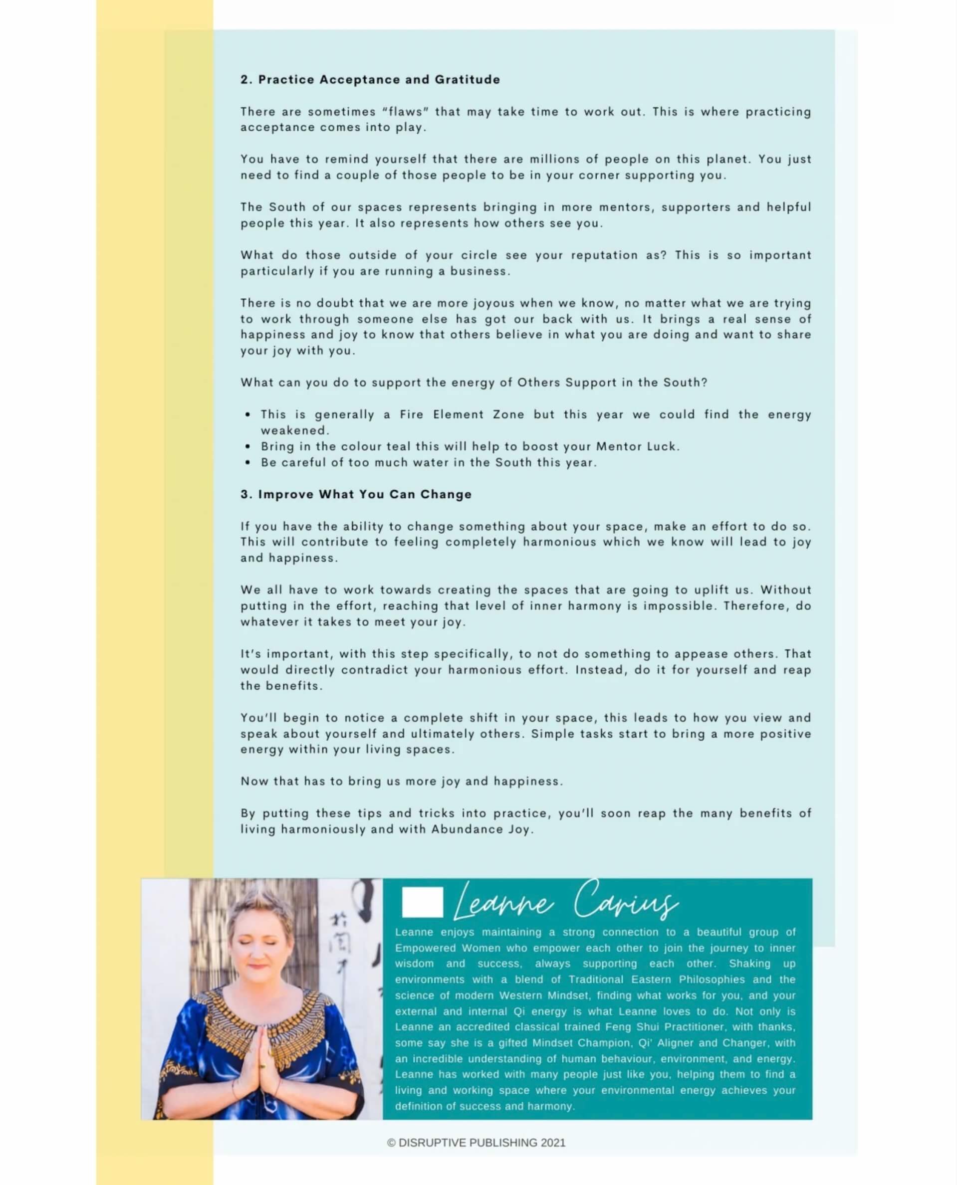 leanne carius "the abundance of joy" The Disruptive Author mini mag