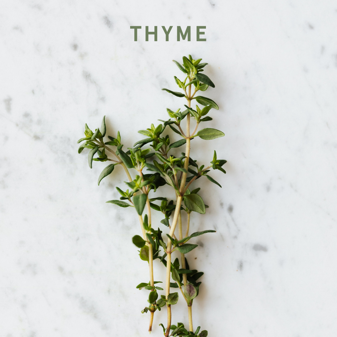 Thyme essential oils are toxic for dogs