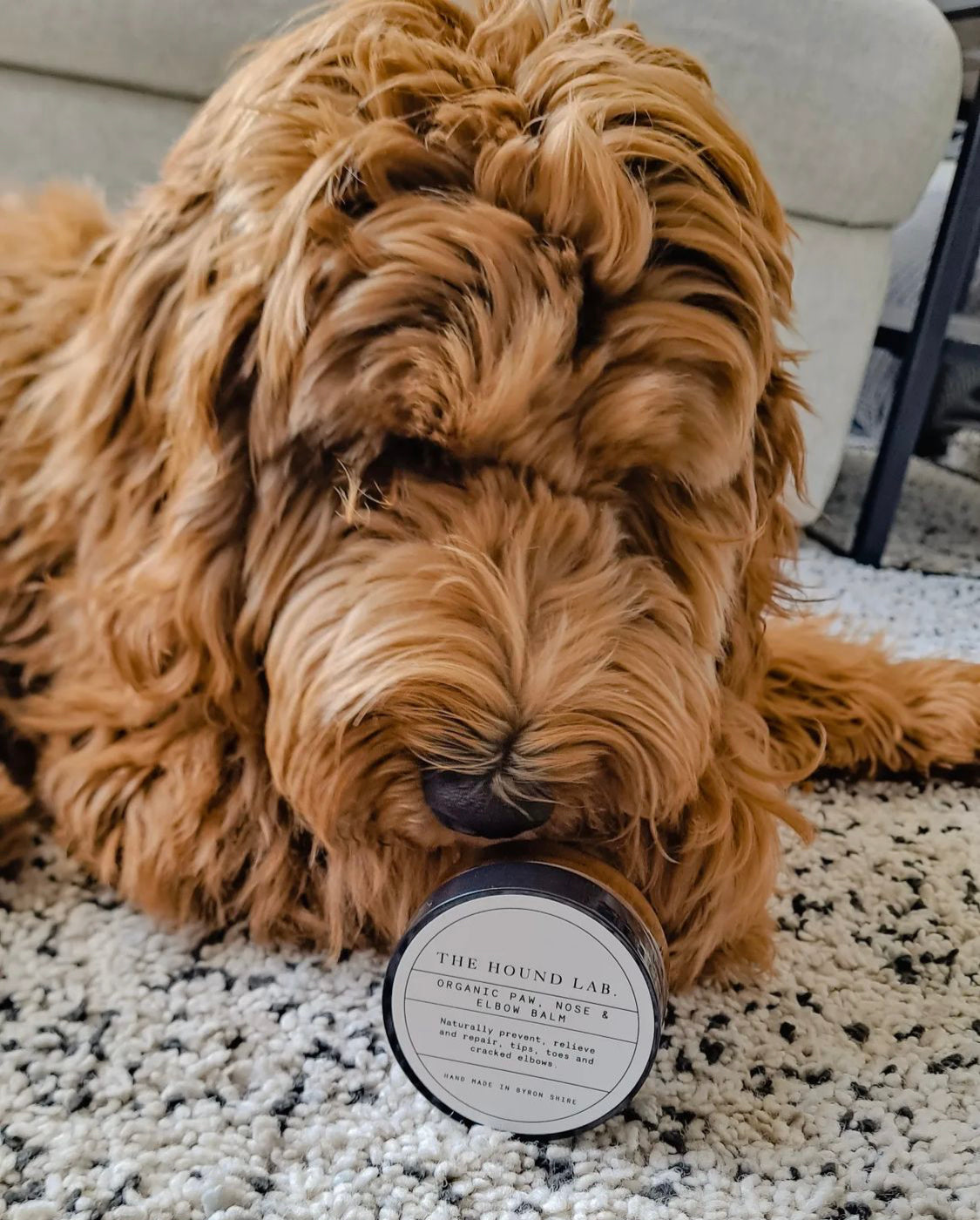 Dog paw balm is made from all natural ingredients