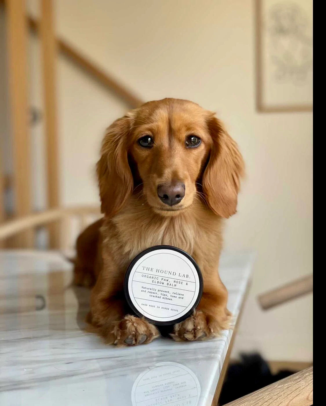 Dog paw balm is made from all natural ingredients