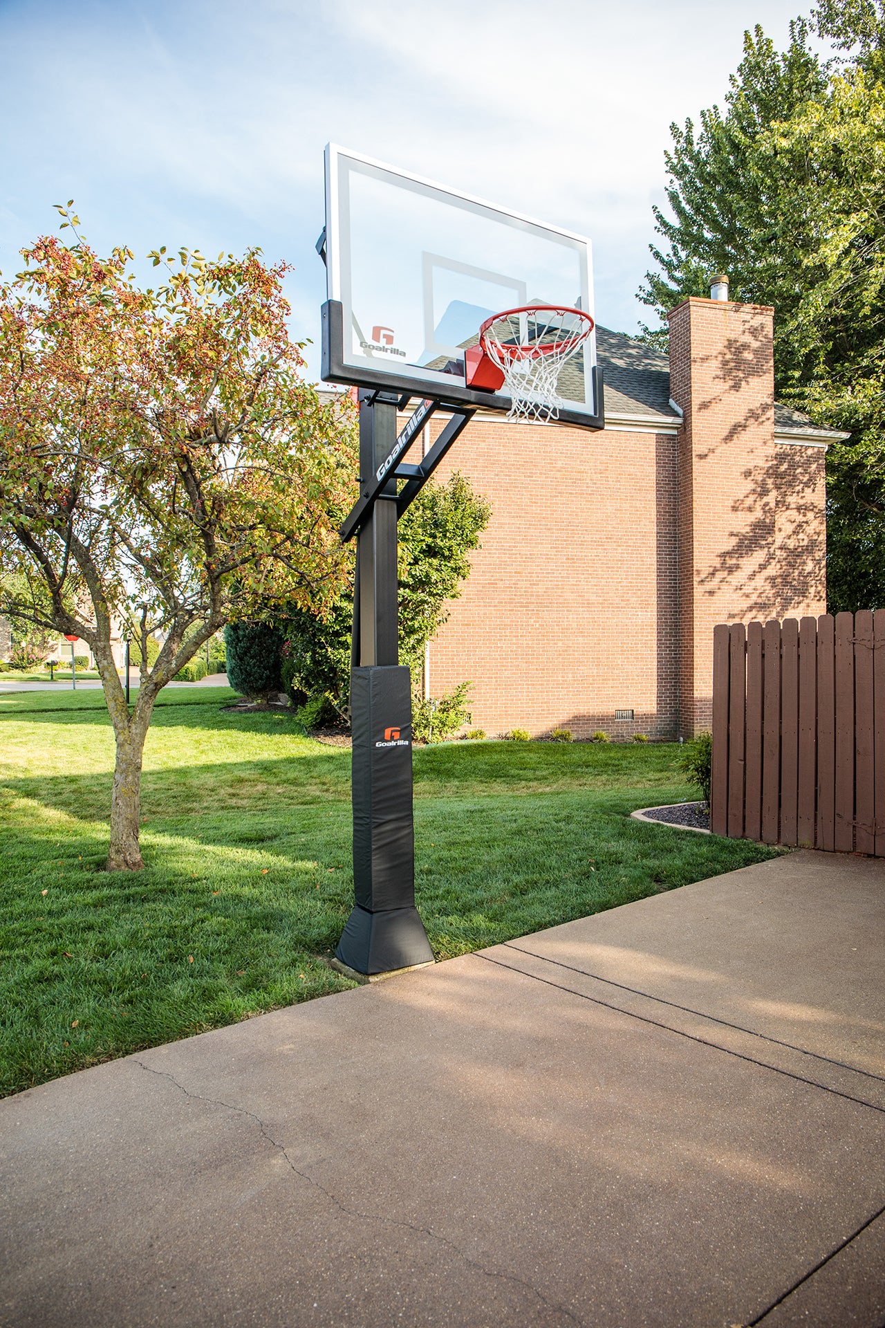 silverback hoop